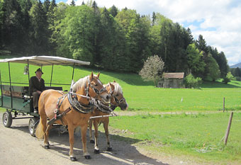 Pferdekutschenfahrt mit Planenwagen in Rottach-Egern 