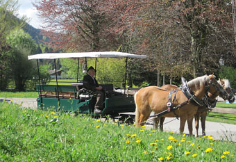 Pferdekutschenfahrt mit Planenwagen in Rottach-Egern 